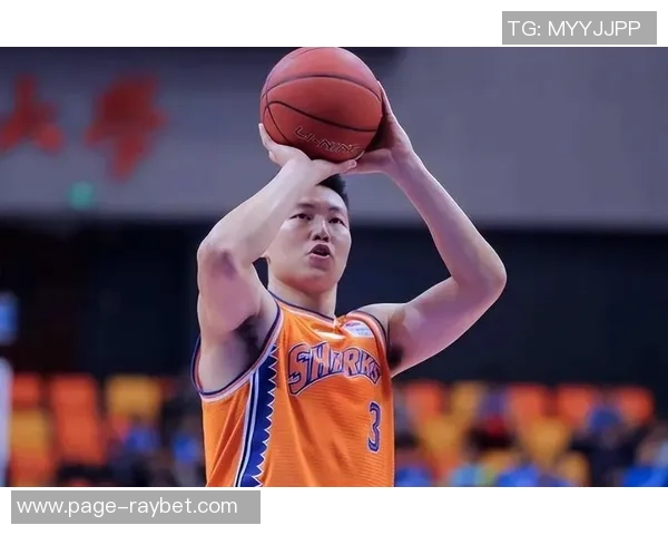 李根：从篮球场上的传奇到人生舞台的奋斗者之路